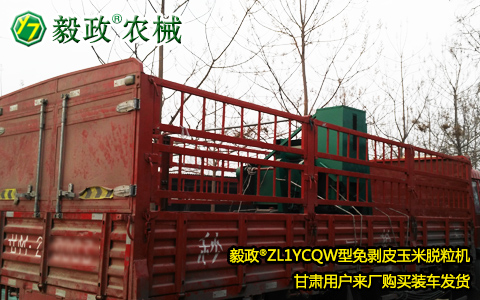 甘肅客戶(hù)來(lái)廠(chǎng)購(gòu)買(mǎi)裝車(chē)毅政牌ZL1YCQW型免剝皮玉米脫粒機(jī)